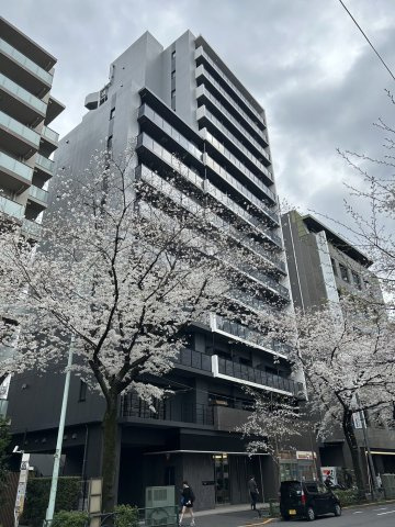 中野区新井１丁目の賃貸マンションの外観