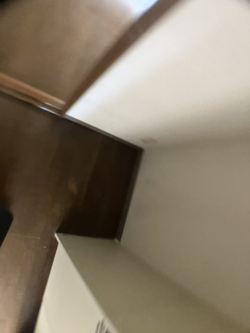 グリーンゲイブルズのその他