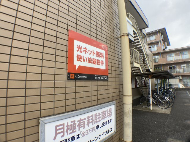 グリーンゲイブルズのその他