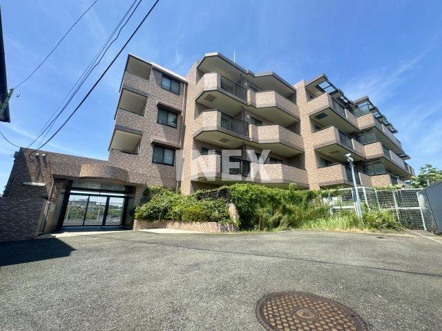 横浜市南区永田南１丁目の賃貸マンションの外観