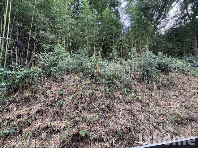 シェモア茨木市郡山二丁目の庭|お庭で自由な時間を過ごせます