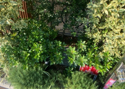 【庭】 | エクセレントシティ古淵駅前 | 物件によっては、入居者が個人的に使用できる専用庭がついているものもあります。また、住宅の中にある土間の部分を庭と呼ぶこともあります。庭の用途は住む人によって変わり、それによってデザインもさまざまです。