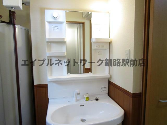 エコハウス幸の洗面所