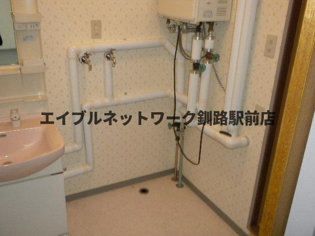 レジデンス仲浜の洗面所