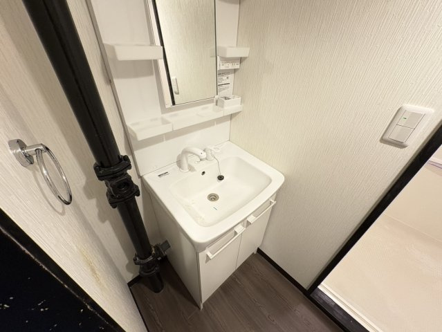 サンパレス市川の洗面所