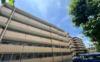 【外観】 | ダイアパレス大橋南、弐番館