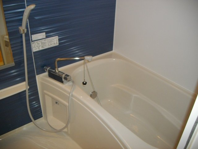 アルバーダ　トレスの浴室