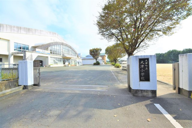 菊池郡大津町大字森第1-3棟（10号棟）　の周辺|大津小学校