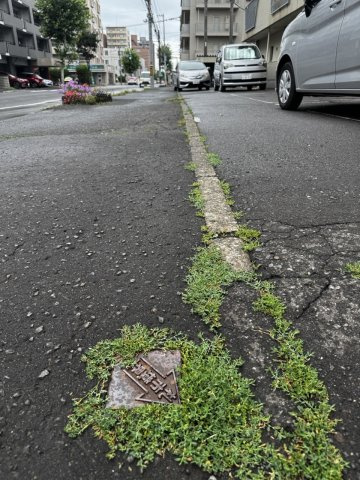 【その他】の画像