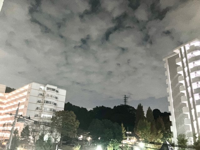 クレヴィア京王堀之内パークナードⅠ２番街の展望