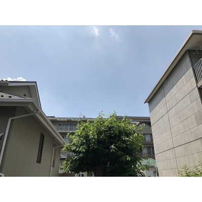 【その他】 | カーサフドウ