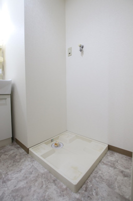 脱衣所の洗濯機置場は脱いだ服をそのまま洗濯機に入れることができます