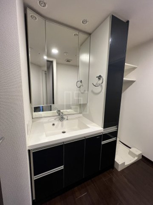 【独立洗面台】 | アステリオ北堀江 ザ・メトロタワー | アステリオ北堀江 ザ・メトロタワー　独立洗面化粧台