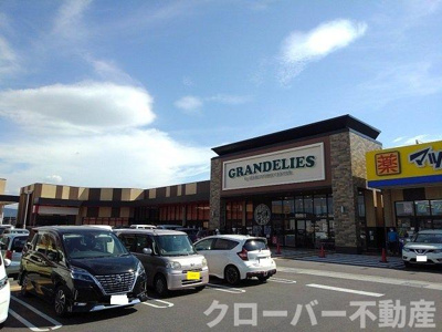 【周辺】 | オーブリー真時Ｂ | メルカドールグランデリーズ飯山まで1000m