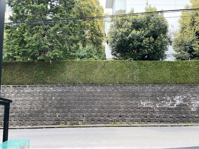 武藤荘の展望