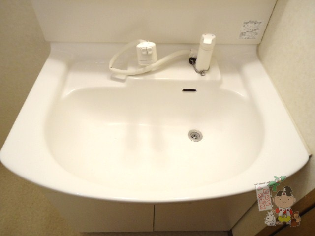 クレール野田の洗面所