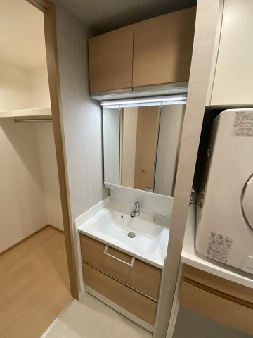 カーサカミフケの洗面所