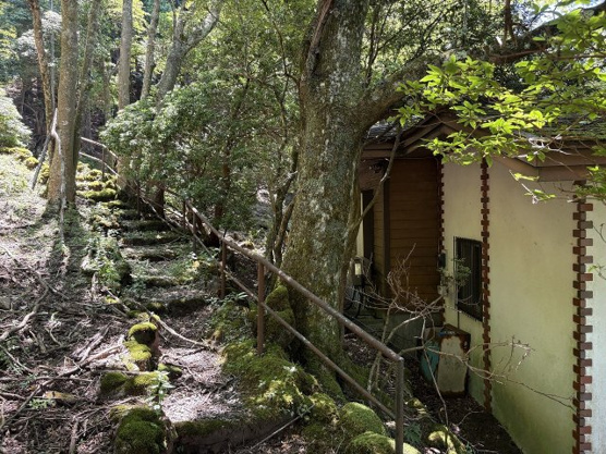 【外観】 | 東急天城高原別荘地　戸建