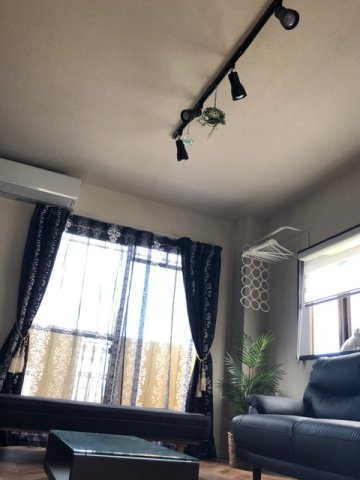 コンソラトゥールのその他