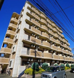 プラシードカーサの画像