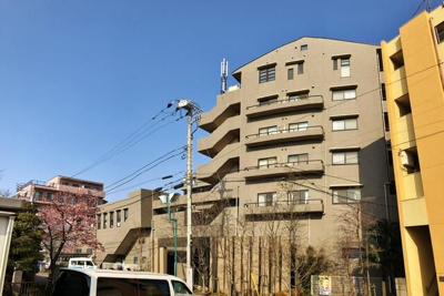 【外観】 | サザントゥリー2(サザントゥリーツー)