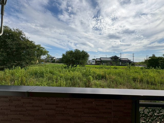 ヴェルデの展望