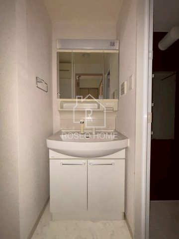 イグレック南本町の洗面所