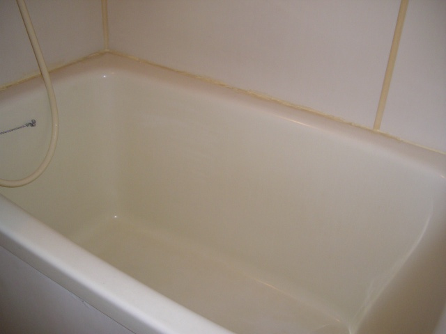 グリーンハイムアツの浴室|お風呂です