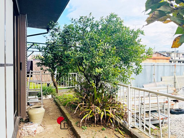 【庭】 | 鴻巣市宮前　中古戸建