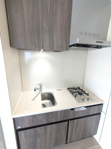 BRANSIESTA上野のキッチン|ガス2口システムキッチン、シンクにプレート付で料理しやすいです、豊富なシステム収納