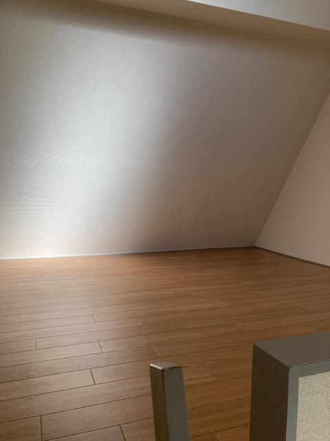 セドルハイム王子のその他