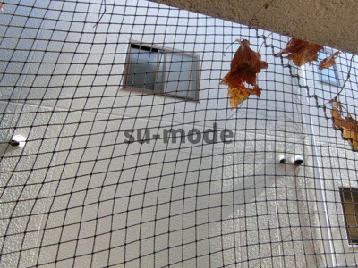 【展望】 | 第二メゾンいずみ