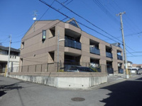 グレイス　ヒル・アートの画像