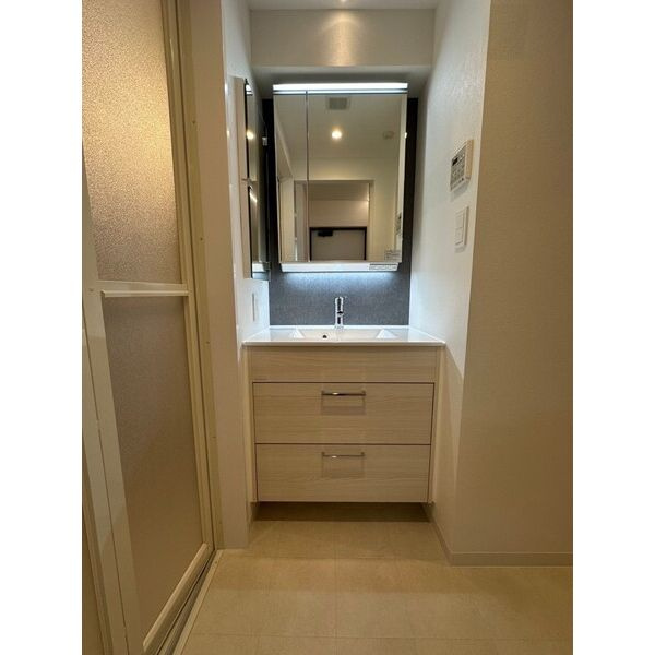 the platinum(ザ プラチナム)の洗面所