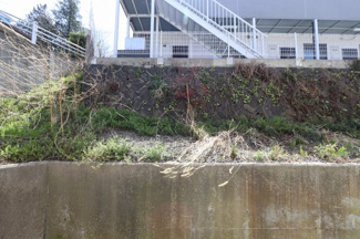 【展望】 | リーベンスホワイト