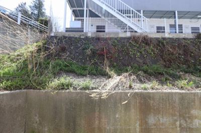 【展望】 | リーベンスホワイト