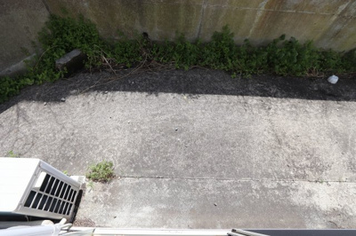 【その他】 | リーベンスホワイト