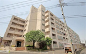 コーポ根岸の画像