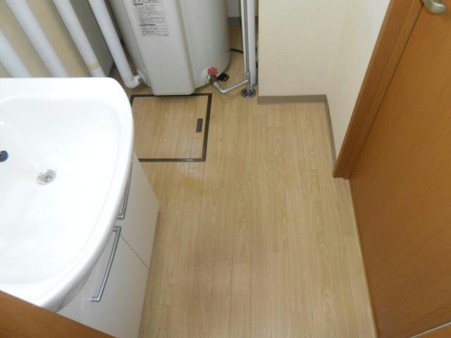 トラストドリームⅡの洗面所