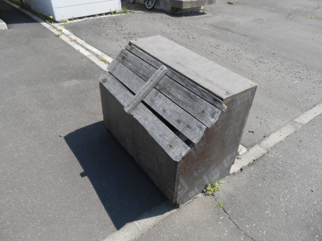 トラストドリームⅡの周辺