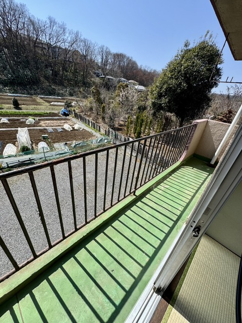 センテレオの展望