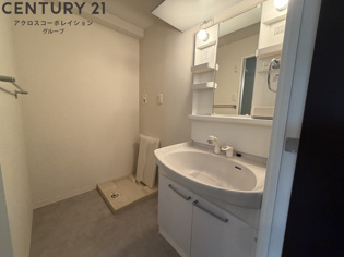 シャンプードレッサー