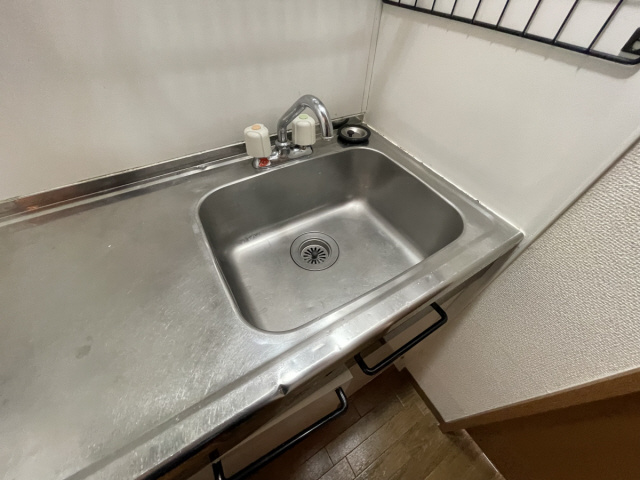 パインリッチの洗面所