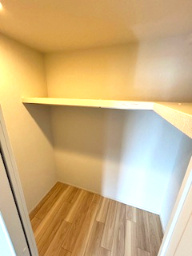 スプランディッド江坂Ⅲの収納|収納豊富です