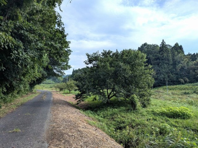 【周辺】 | 田布施町下田布施土地