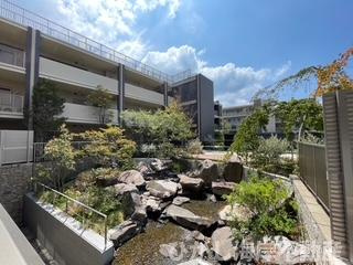 ヴェレーナグラン茅ヶ崎東海岸の展望|バルコニーからは水のせせらぎとしだれ桜やコスモスなど緑を感じられる中庭が正面に見えます。まるで自分の家のお庭のように見えます。