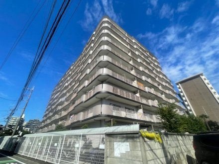 ハイラーク浦和