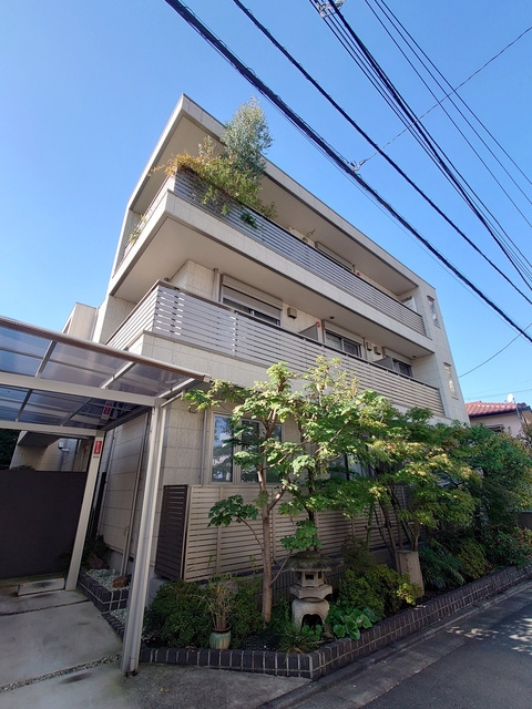 レジオン五清