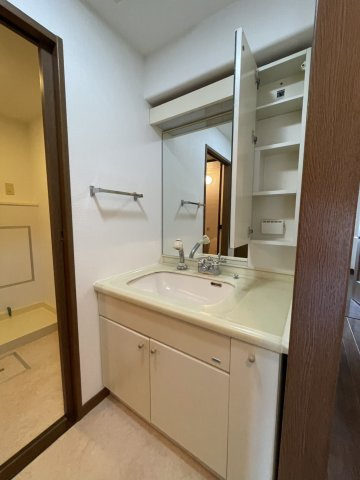 高槻阿武山二番街２０１号棟の独立洗面台