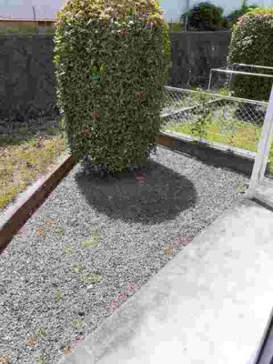 【庭】 | 硯川ハイツ